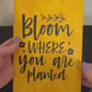 Bloom Where You are Planted Journal - Distressed Journal - Writing Journal - Diary - Writers Gift - Diary Gift - Journal Gift